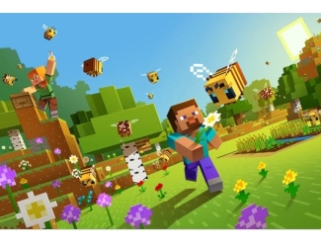 Você é um verdadeiro professional minecrafter