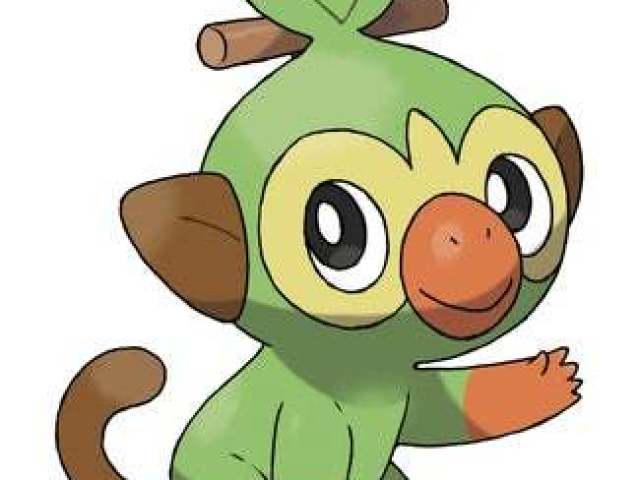 grookey