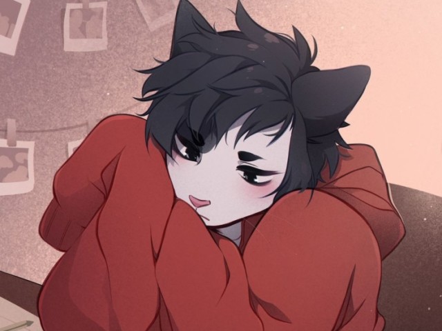 Gato