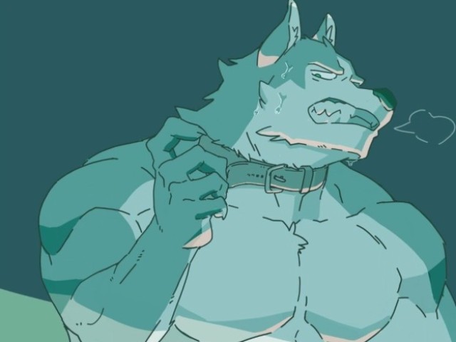Lobo