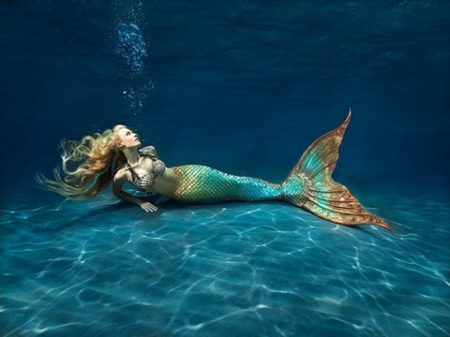 Meia-Sereia