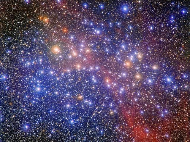 Estrela
