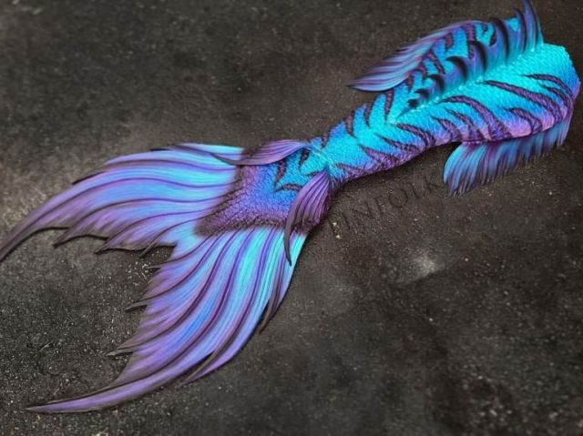 Roxa e azul