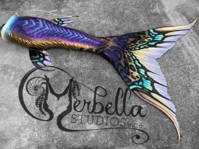 Borboleta
