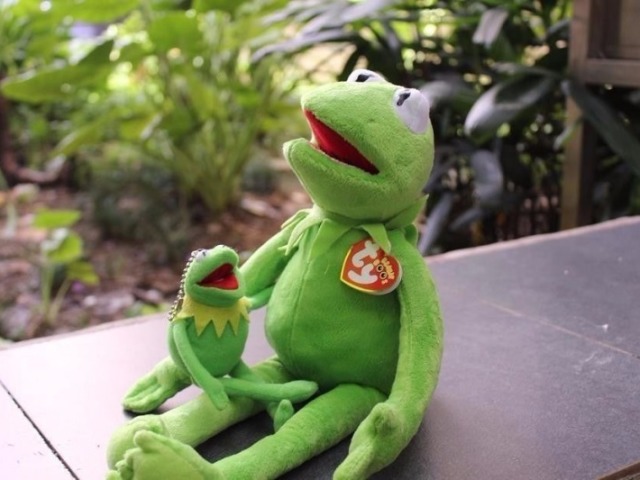 Kermit