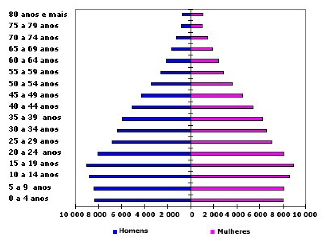 o histograma é um tipo de gráfico parecido com o gráfico de colunas e são utilizados(também conhecidos como distribuição de frequências)e são a representação gráfica em colunas ou em barras (retângulos) de dados podendo ser até de dois sexos(homem e mulher) como na imagem