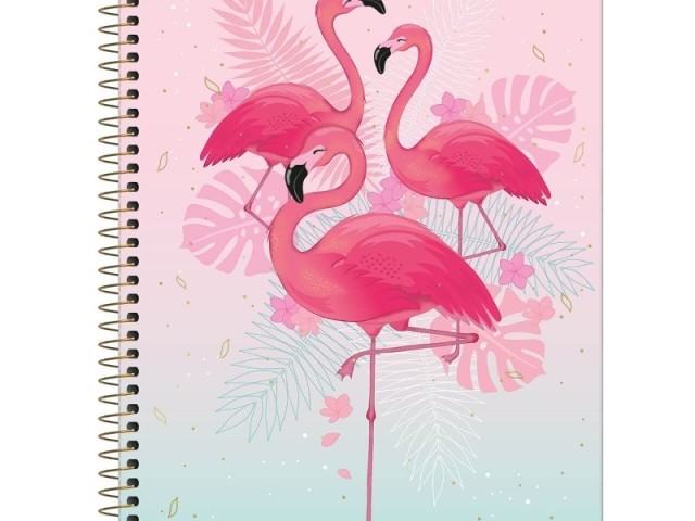 Flamingo!