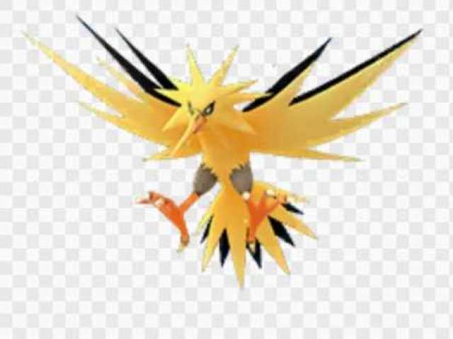 Zapdos