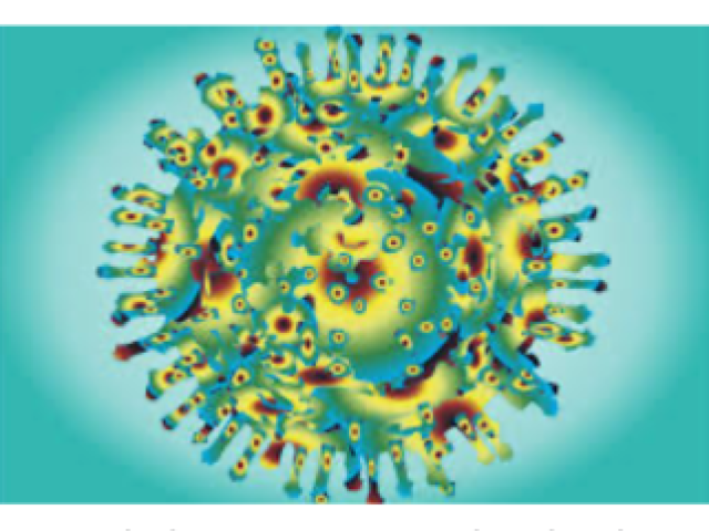 As características morfológicas dos vírus podem ser:
Esféricos como os vírus da influenza e encefalite japonesa.
Cilíndricos como a maioria dos vírus de plantas.
Cúbicas como o vírus da vaccínia.
Espermatozoidal, como o bacteriófago.