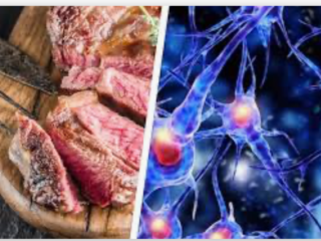 O mal da vaca louca, também chamado de Encefalopatia Espongiforme Bovina, é uma doença priônica descoberta em 1986. Essa doença, no entanto, ficou mundialmente conhecida nos anos noventa, quando vários animais foram diagnosticados com o problema no Reino Unido.
O vírus não causa nenhuma doença.