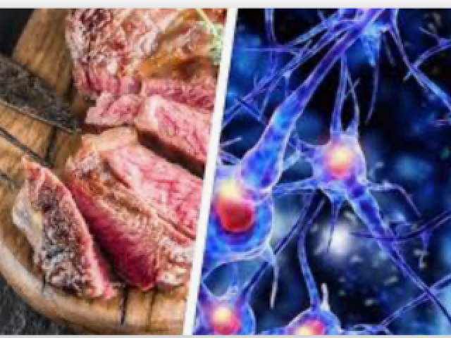 O mal da vaca louca, também chamado de Encefalopatia Espongiforme Bovina, é uma doença priônica descoberta em 1986. Essa doença, no entanto, ficou mundialmente conhecida nos anos noventa, quando vários animais foram diagnosticados com o problema no Reino Unido. 
O vírus não causa nenhuma doença.