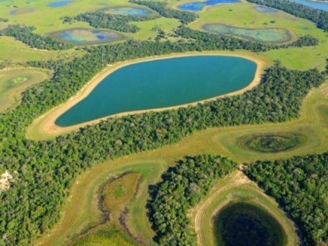 Pantanal