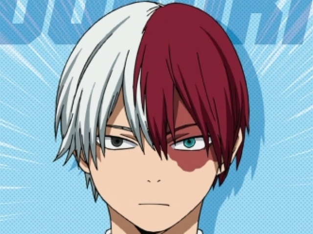 Shouto todoroki