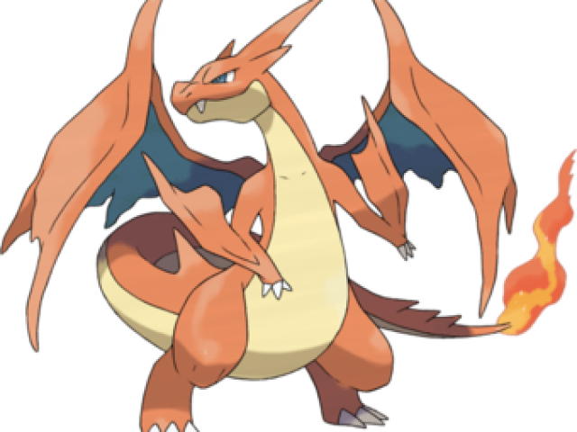 charizard y