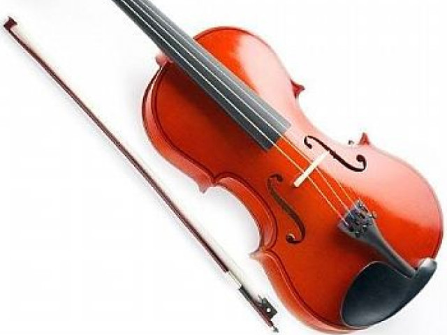 Violino