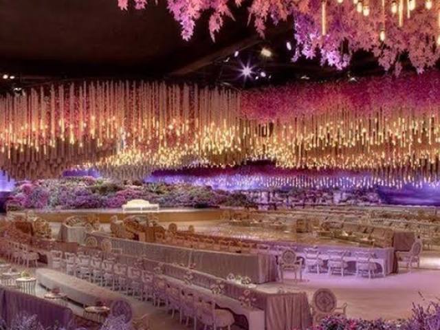 Festa de princesa (a)