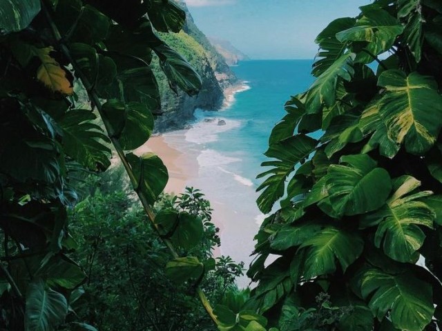 Monte sua vida na praia 🏝