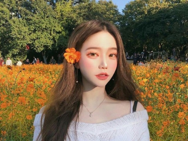 Park tina