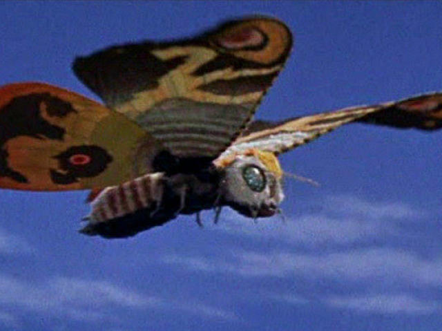 Mothra