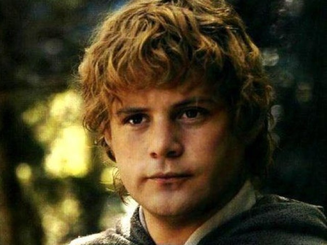 Samwise gamgee