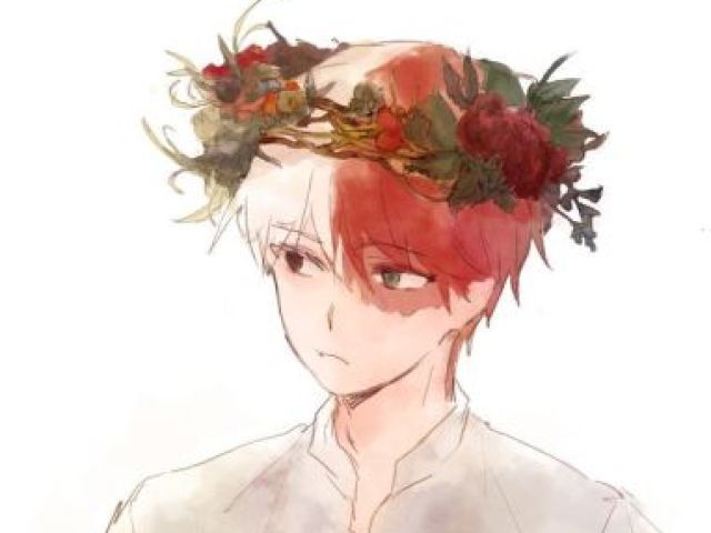 Shoto Todoroki