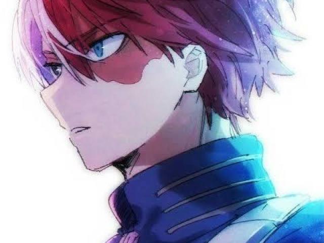 O todoroki, ele é gostoso