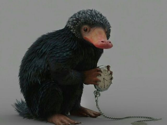 Pelúcio