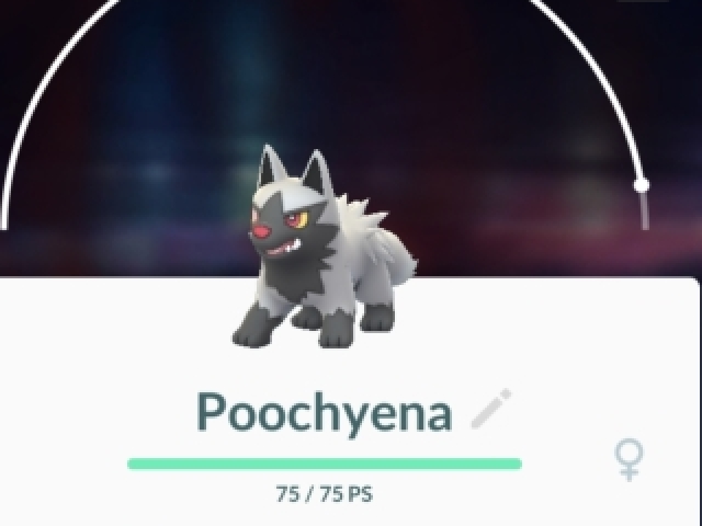 Poochyena