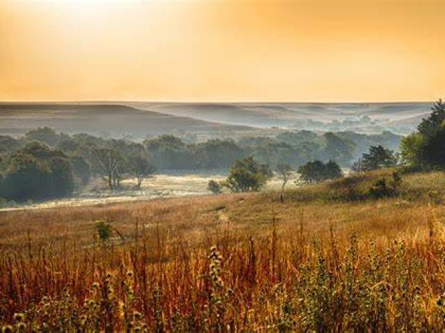 Kansas.