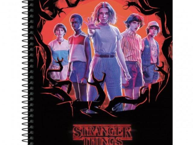 STRANGER
THINGS