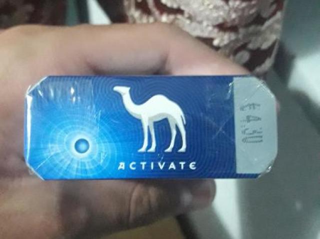 Camel (Activate)