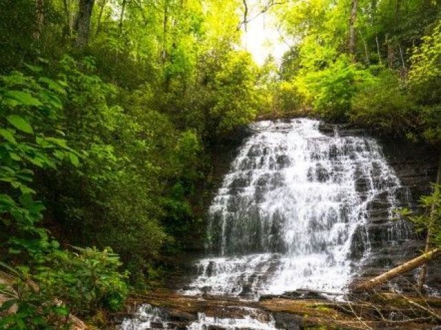 Um pouco mais da cachoeira