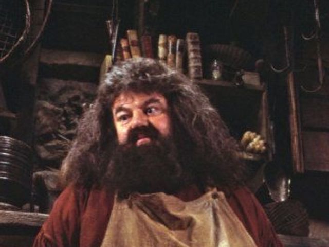 Hagrid