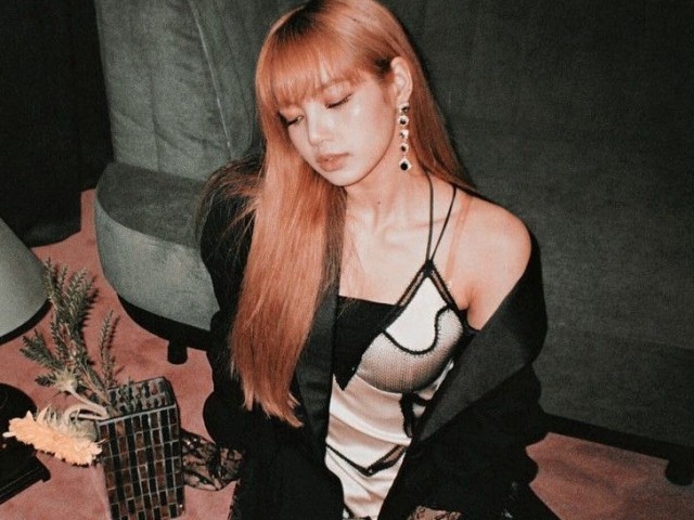 Você conhece a Lisa?
