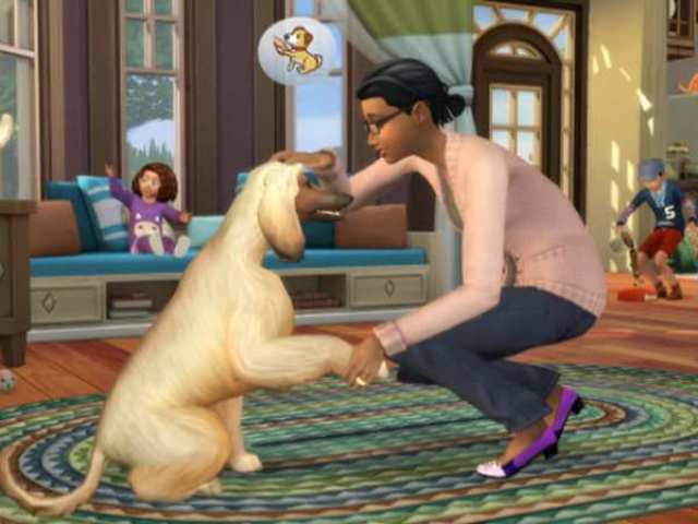 Pets