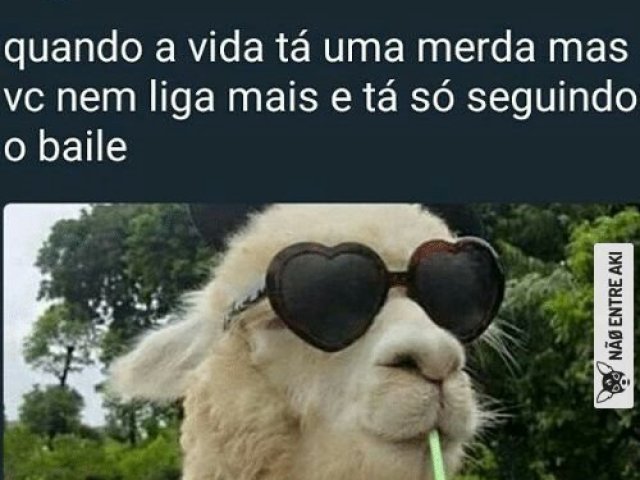 não conheço/gosto de nenhum