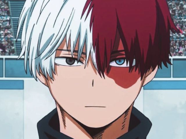 Shoto Todoroki