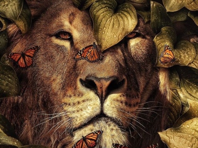 Leão 🦁