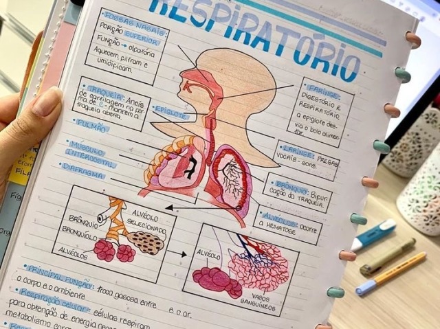 Ciências🔬