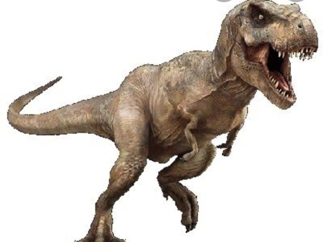 T rex