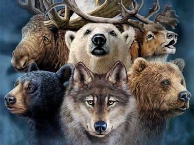 Descubra qual e o seu espirito animal?