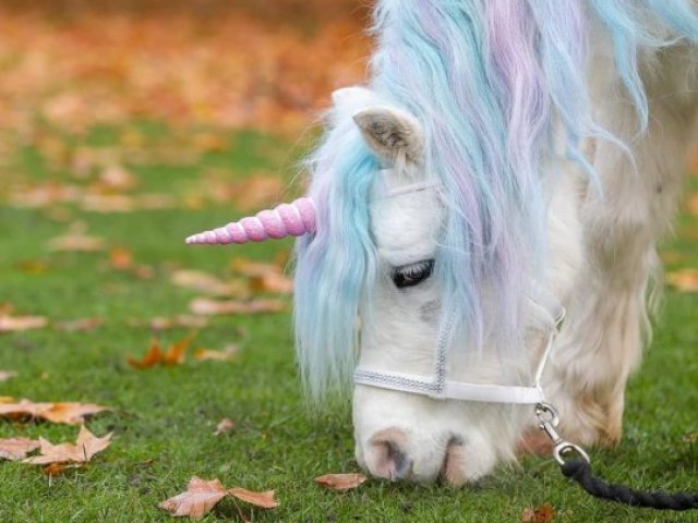 unicornio