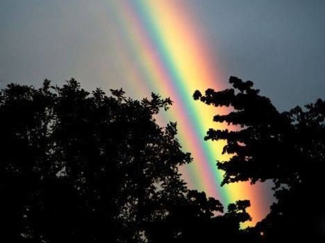 Monte a sua sessão fotográfica!