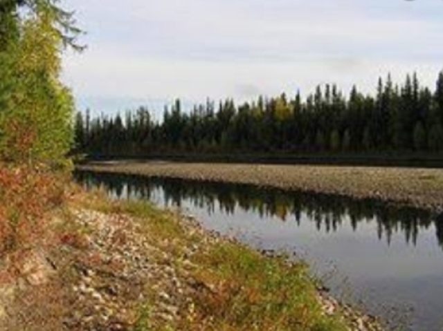 Cujo clima típico é o continental frio e polar com baixas temperaturas inverno curto e verão longo com muito calor e seca está localizado entre as florestas tropicais(sul) e a tundra(nortes)