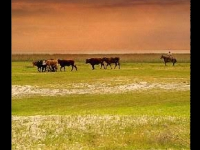 Estepe ou pradaria, a plantação é difícil;assim sendo,a maioria da sua população depende da criação de cabras e outros animais