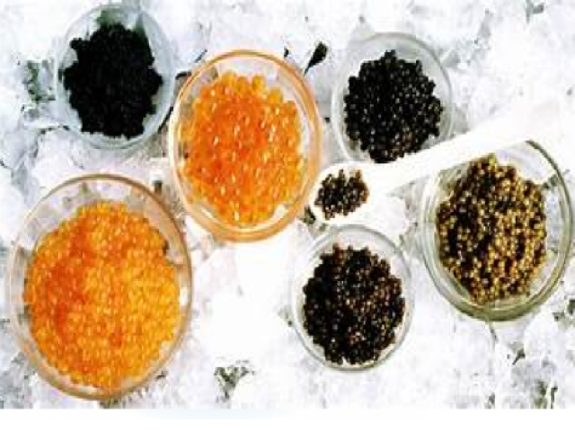 caviar