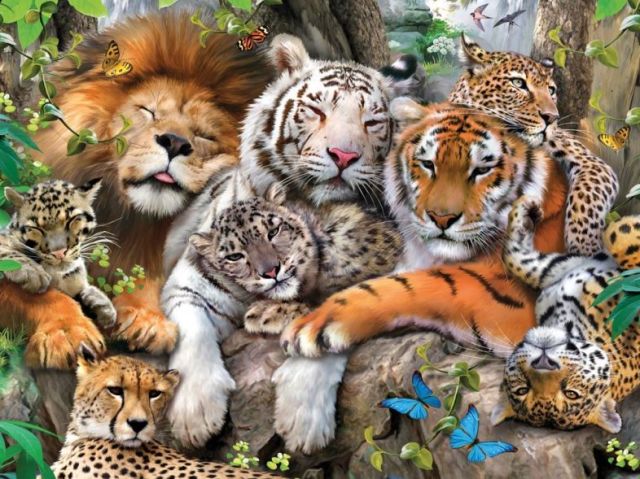 Qual animal você representa?
