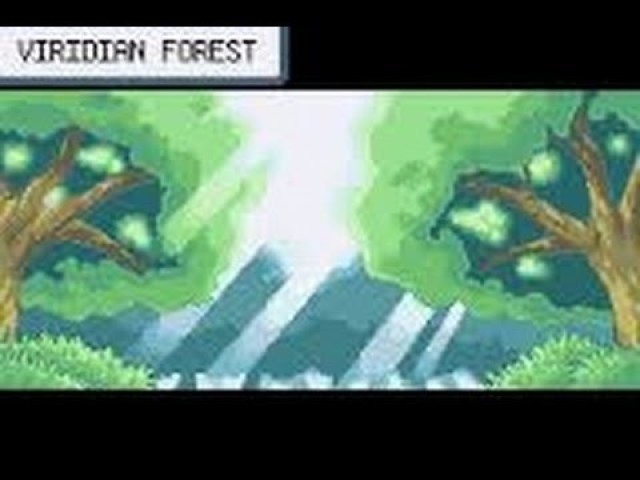 ir para a floresta de viridian