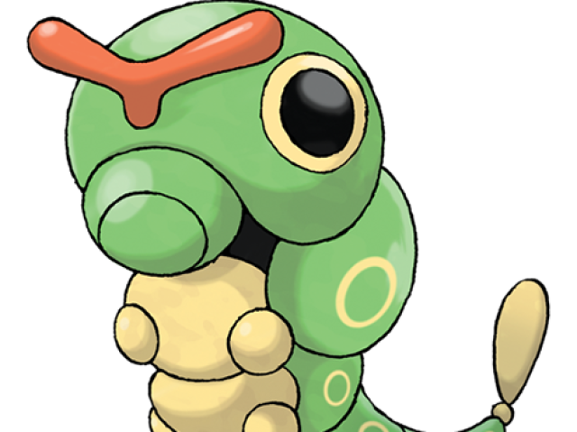 caterpie