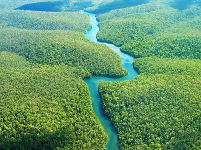 As margens do Rio Amazonas.